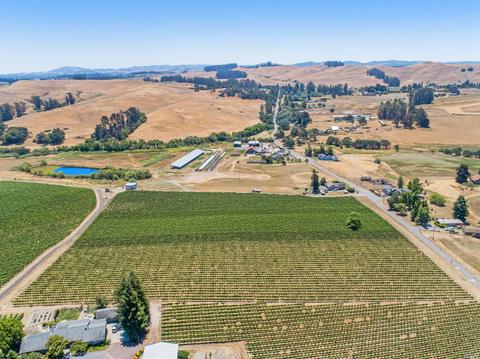 6105 Petersen Rd, Sebastopol, CA 95472 photo 4