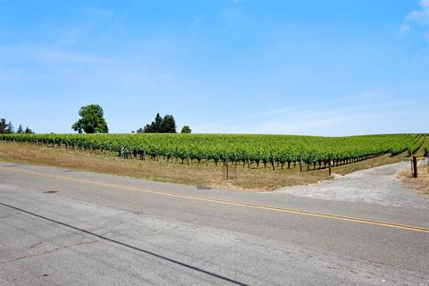 6105 Petersen Rd, Sebastopol, CA 95472 photo 26