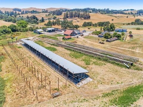 6105 Petersen Rd, Sebastopol, CA 95472 photo 10