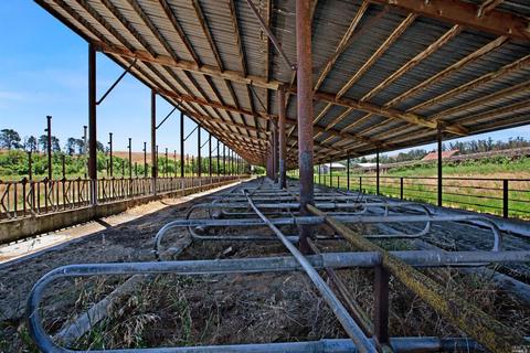 6105 Petersen Rd, Sebastopol, CA 95472 photo 17