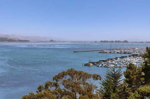 2028 Sandpiper Ct, Bodega Bay, CA 94923 photo 33