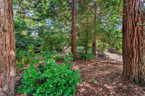 9446 Victoria Ln, Windsor, CA 95492 photo 12