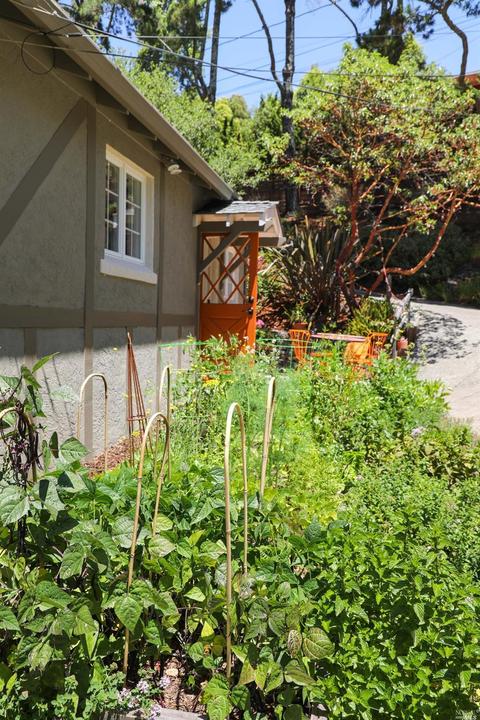545 W Fairview Ave, Mill Valley, CA 94941 photo 32