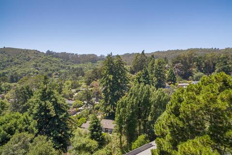 545 W Fairview Ave, Mill Valley, CA 94941 photo 4