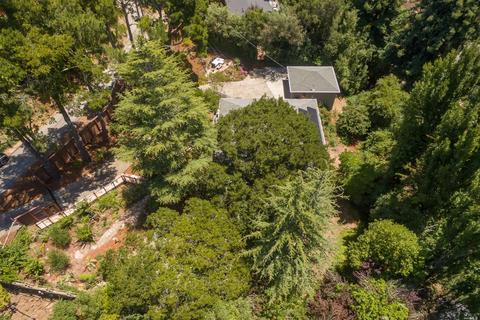545 W Fairview Ave, Mill Valley, CA 94941 photo 41