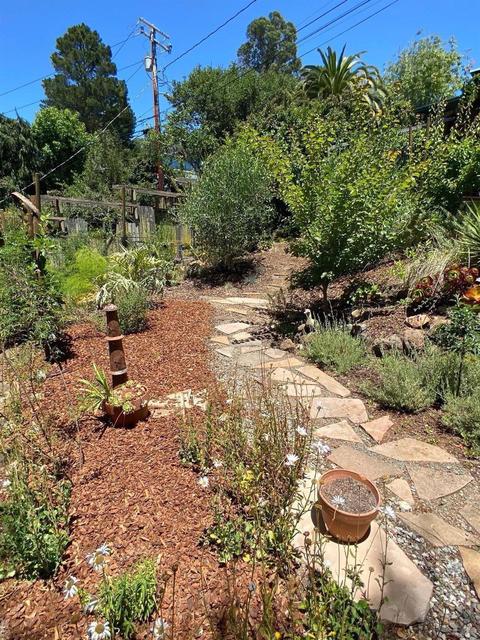 545 W Fairview Ave, Mill Valley, CA 94941 photo 7