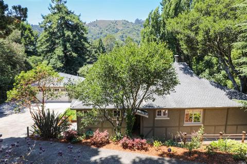545 W Fairview Ave, Mill Valley, CA 94941 photo 8