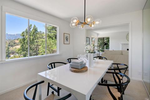 103 Shelley Dr, Mill Valley, CA 94941 photo 9