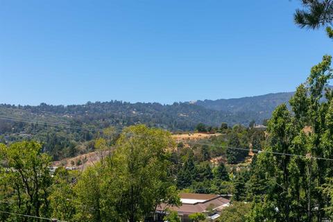 103 Shelley Dr, Mill Valley, CA 94941 photo 43