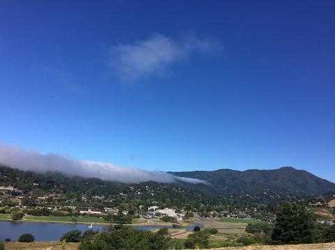 520 Seaver Dr, Mill Valley, CA 94941 photo 27