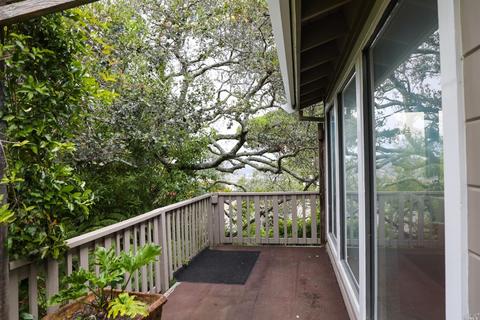 148 Harvard Ave, Mill Valley, CA 94941 photo 5