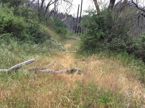 1203 Indian Gulch Rd, Other, CA 95245 photo 4