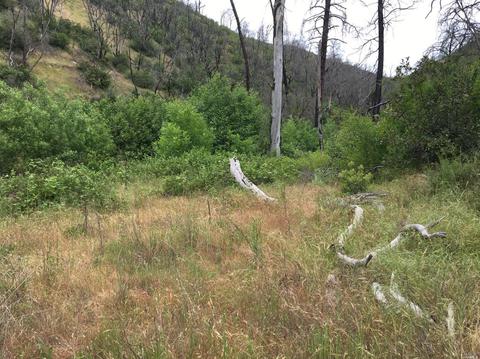 1203 Indian Gulch Rd, Other, CA 95245 photo 3