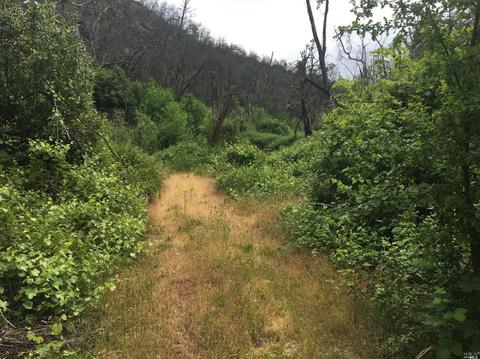 1203 Indian Gulch Rd, Other, CA 95245 photo 17