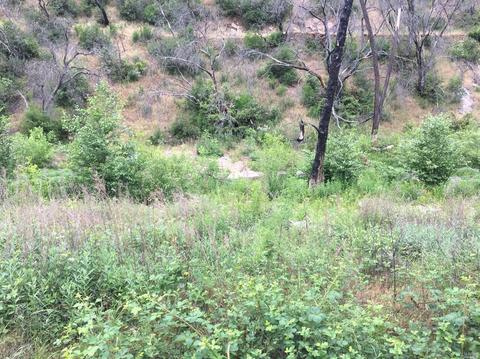1203 Indian Gulch Rd, Other, CA 95245 photo 5
