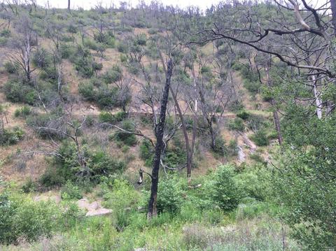 1203 Indian Gulch Rd, Other, CA 95245 photo 6