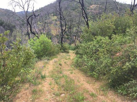 1203 Indian Gulch Rd, Other, CA 95245 photo 7