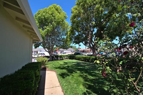 973 Elliott Dr, Vallejo, CA 94589 photo 4