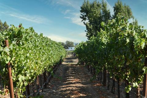 1250 Sperring Rd, Sonoma, CA 95476 photo 38