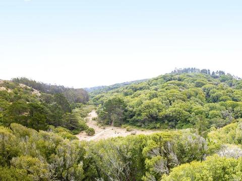 380 Carrera Dr, Mill Valley, CA 94941 photo 35