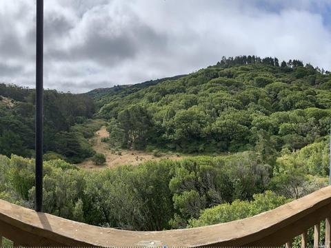 380 Carrera Dr, Mill Valley, CA 94941 photo 36