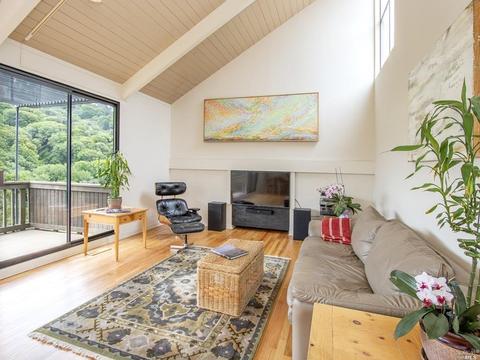 380 Carrera Dr, Mill Valley, CA 94941 photo 11