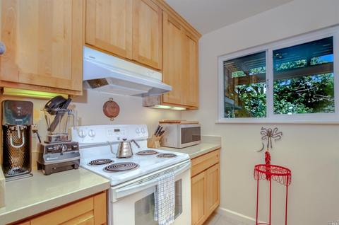 802 Spring St, Sausalito, CA 94965 photo 39