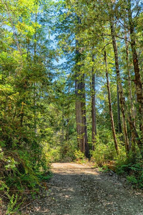 38200 Annapolis Rd, Annapolis, CA 95480 photo 23