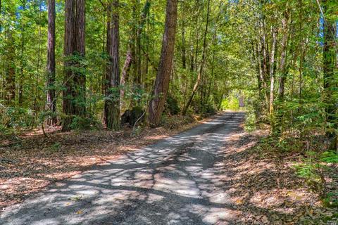 38200 Annapolis Rd, Annapolis, CA 95480 photo 24