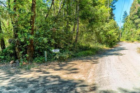 38200 Annapolis Rd, Annapolis, CA 95480 photo 6
