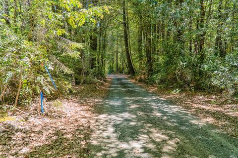 38200 Annapolis Rd, Annapolis, CA 95480 photo 25