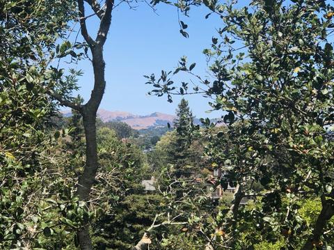 128 Hill Path, Corte Madera, CA 94925 photo 17