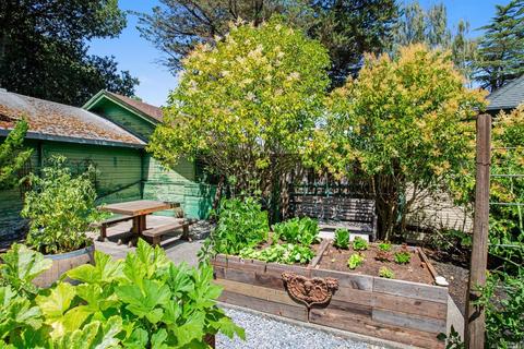 509 Walnut St, Petaluma, CA 94952 photo 32