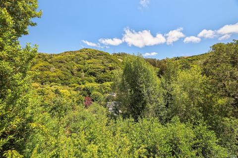 386 Carrera Dr, Mill Valley, CA 94941 photo 11