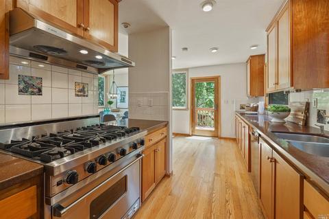 386 Carrera Dr, Mill Valley, CA 94941 photo 20