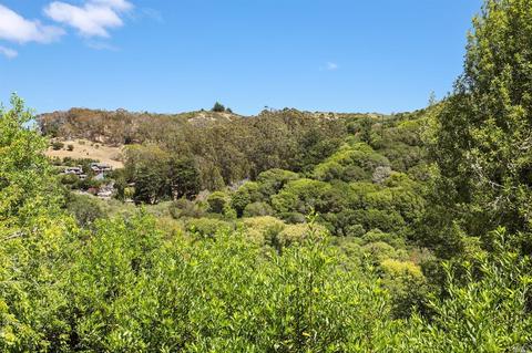 386 Carrera Dr, Mill Valley, CA 94941 photo 10