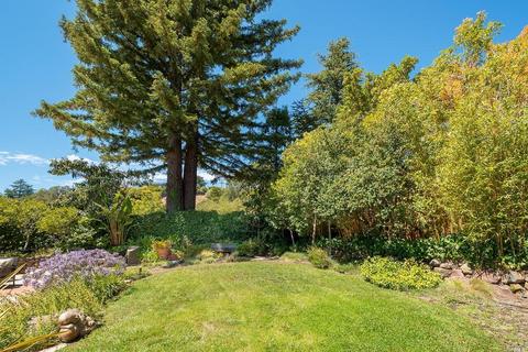 120 Walnut Ave, Corte Madera, CA 94925 photo 27