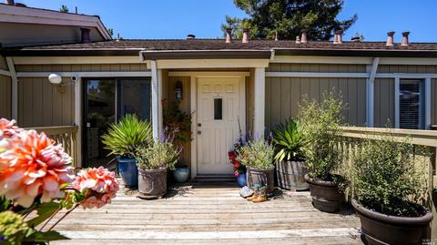 3 Kilmer Ct, Mill Valley, CA 94941 photo 25