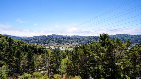 3 Kilmer Ct, Mill Valley, CA 94941 photo 12