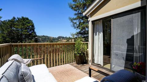 3 Kilmer Ct, Mill Valley, CA 94941 photo 10