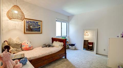 3 Kilmer Ct, Mill Valley, CA 94941 photo 21