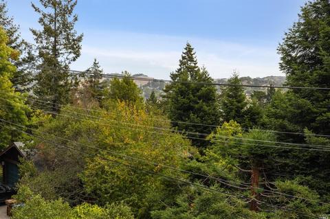 108 Morning Sun Ave, Mill Valley, CA 94941 photo 31