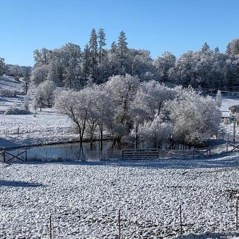 23205 Live Oak Rd, Willits, CA 95490 photo 24