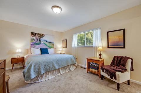 401 Michael Pl, Sebastopol, CA 95472 photo 17