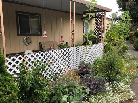 21 Wayside Dr #21, Santa Rosa, CA 95407 photo 5
