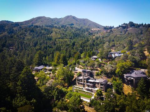 493 Lovell Ave, Mill Valley, CA 94941 photo 39