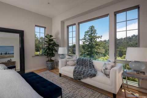 493 Lovell Ave, Mill Valley, CA 94941 photo 19