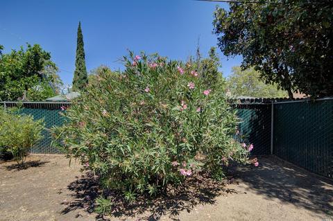 720 Laurel St, Vallejo, CA 94591 photo 33