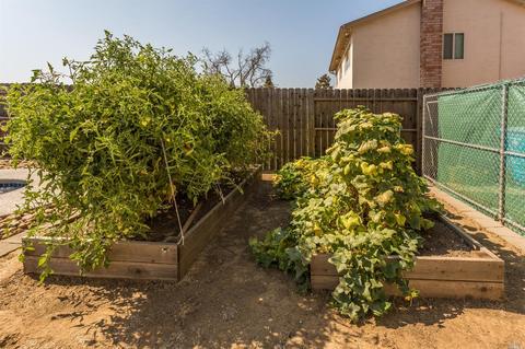 355 Timber Dr, Vacaville, CA 95688 photo 36