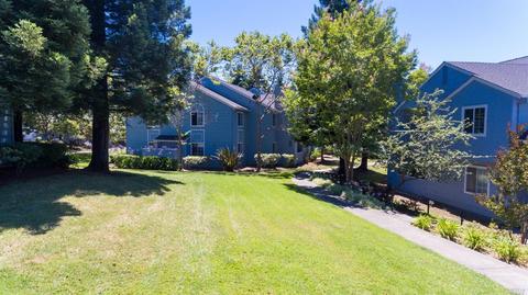 481 Lighthouse Ave, Vallejo, CA 94590 photo 10